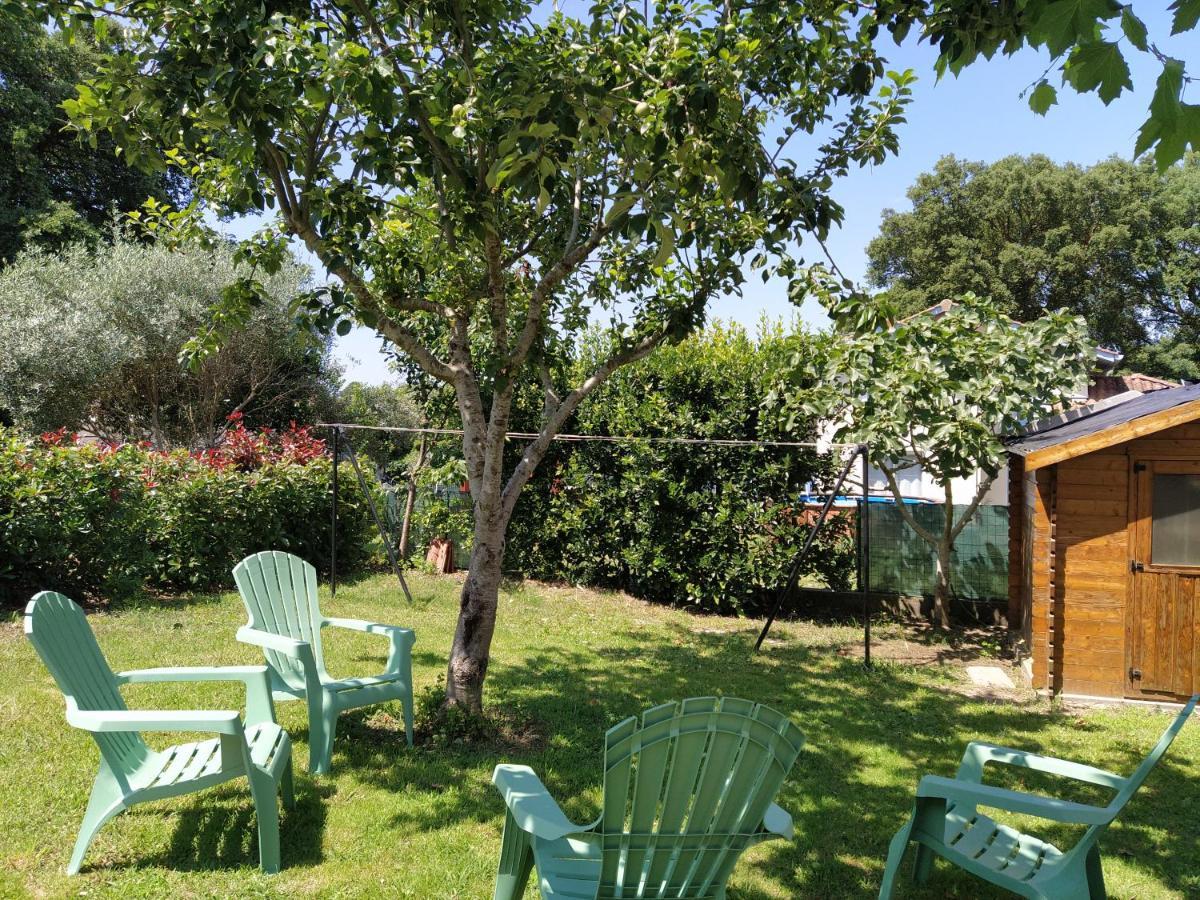 Maison Christy, spacieux, calme avec jardin Ondres Extérieur photo